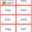 CVC Word Cards (digital file)