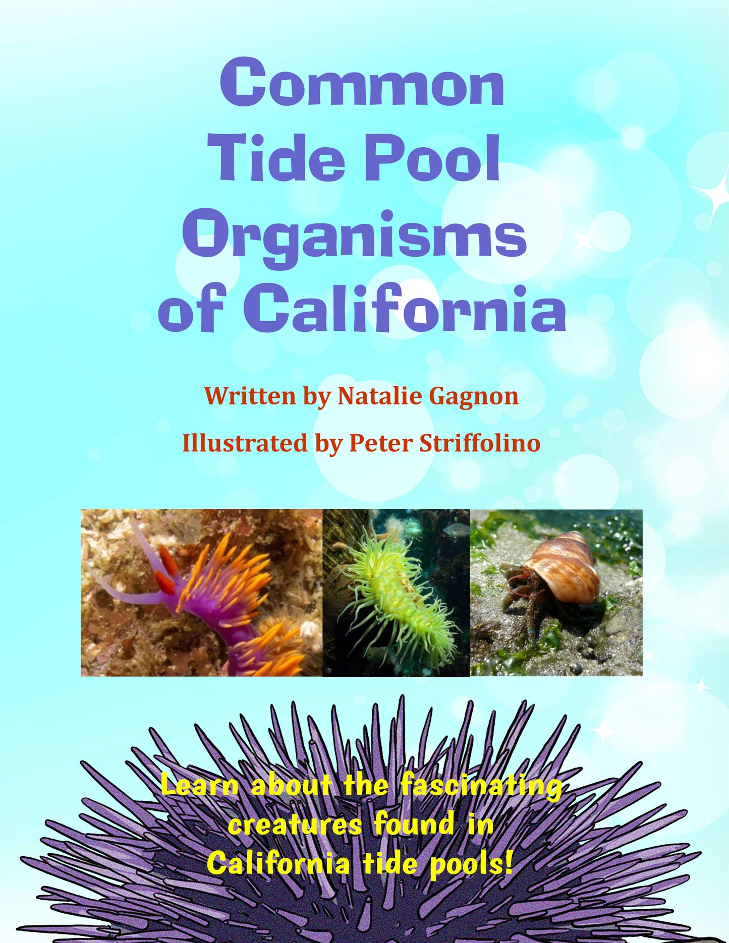 Common Tide Pool Organisms of California