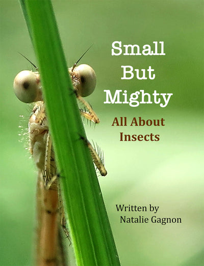 Small but Mighty - All About Insects