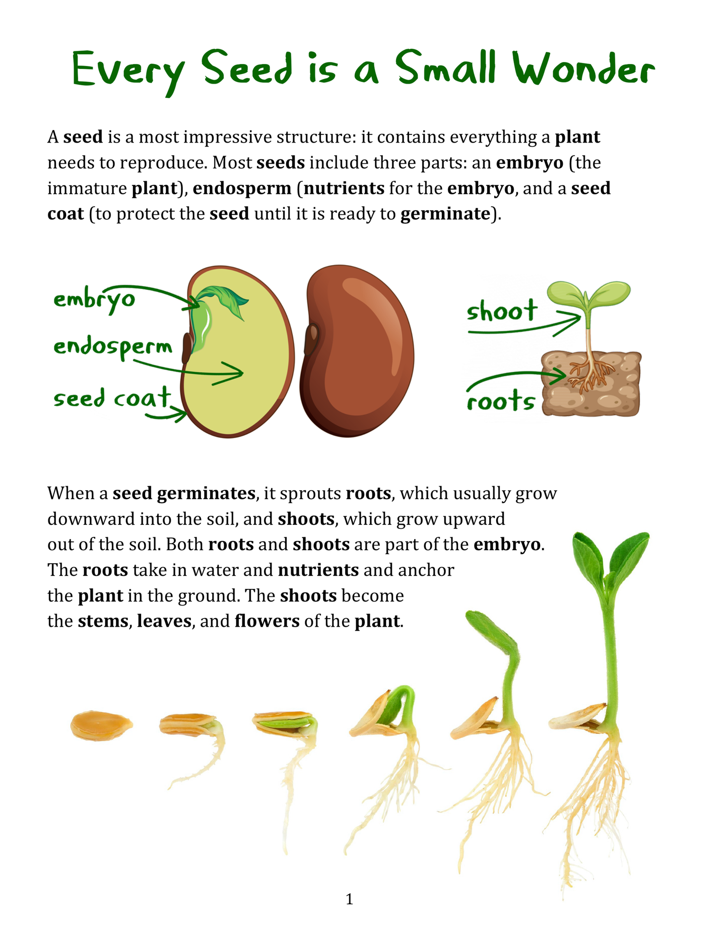 Tiny Travelers: A Book About Seed Dispersal (and other cool things about plants)